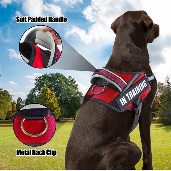 Service Therapy Dog Harness and Leash Set with removable Velcro patches - Picture 4 of 7